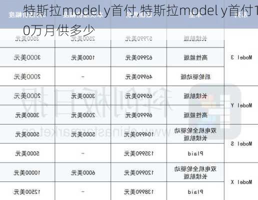 特斯拉model y首付,特斯拉model y首付10万月供多少