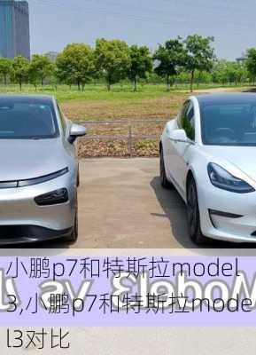 小鹏p7和特斯拉model 3,小鹏p7和特斯拉model3对比