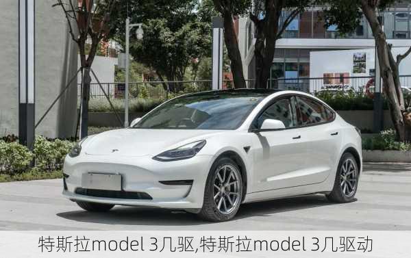 特斯拉model 3几驱,特斯拉model 3几驱动