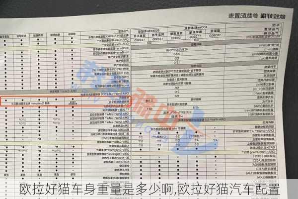 欧拉好猫车身重量是多少啊,欧拉好猫汽车配置