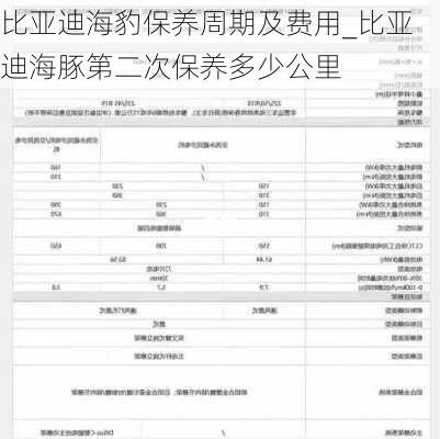 比亚迪海豹保养周期及费用_比亚迪海豚第二次保养多少公里