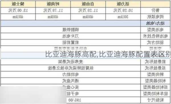 比亚迪海豚高配,比亚迪海豚配置表区别