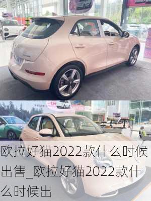 欧拉好猫2022款什么时候出售_欧拉好猫2022款什么时候出