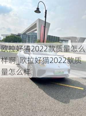 欧拉好猫2022款质量怎么样啊_欧拉好猫2022款质量怎么样