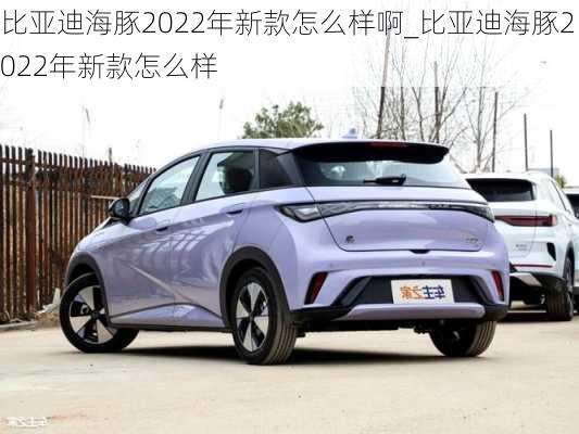 比亚迪海豚2022年新款怎么样啊_比亚迪海豚2022年新款怎么样