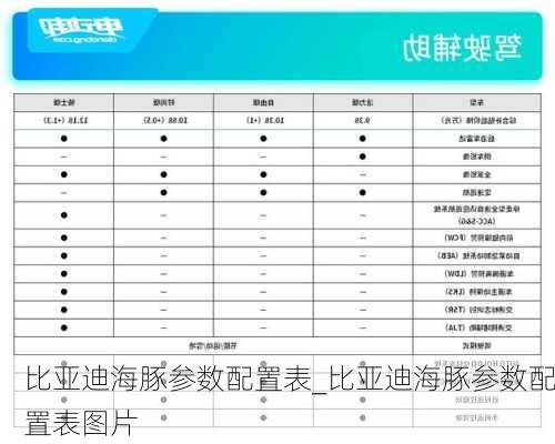 比亚迪海豚参数配置表_比亚迪海豚参数配置表图片