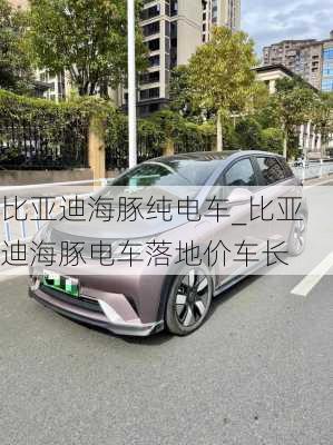 比亚迪海豚纯电车_比亚迪海豚电车落地价车长