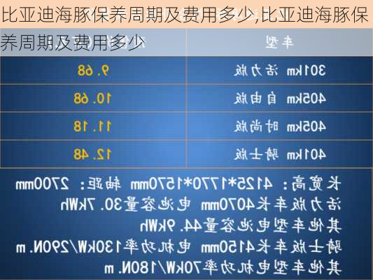 比亚迪海豚保养周期及费用多少,比亚迪海豚保养周期及费用多少