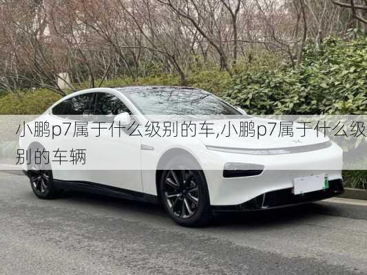 小鹏p7属于什么级别的车,小鹏p7属于什么级别的车辆