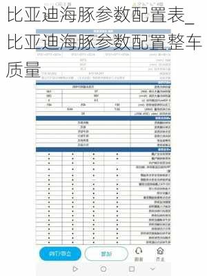 比亚迪海豚参数配置表_比亚迪海豚参数配置整车质量