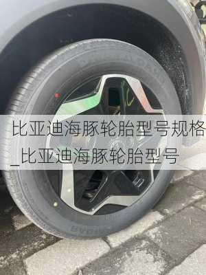 比亚迪海豚轮胎型号规格_比亚迪海豚轮胎型号