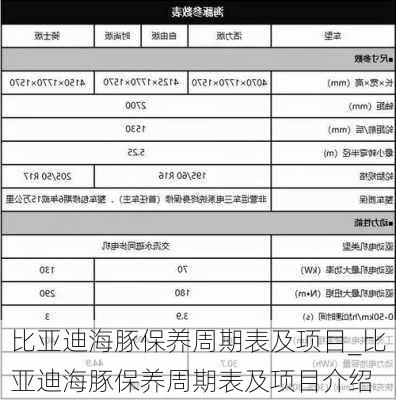 比亚迪海豚保养周期表及项目_比亚迪海豚保养周期表及项目介绍