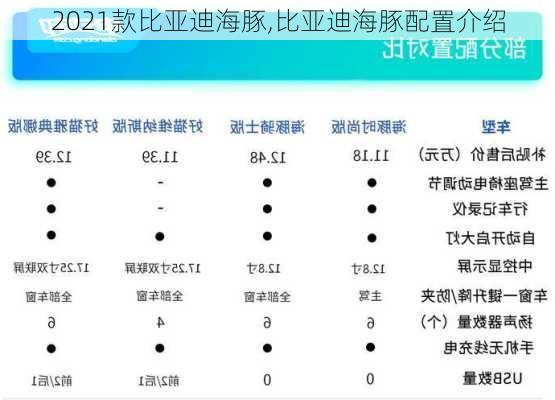 2021款比亚迪海豚,比亚迪海豚配置介绍