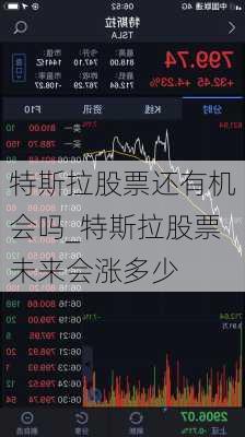 特斯拉股票还有机会吗_特斯拉股票未来会涨多少