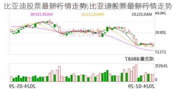 比亚迪股票最新行情走势,比亚迪股票最新行情走势