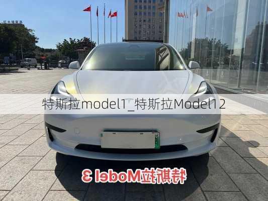 特斯拉model1_特斯拉Model12