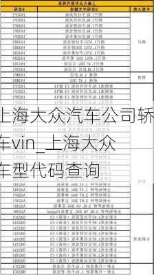 上海大众汽车公司轿车vin_上海大众车型代码查询