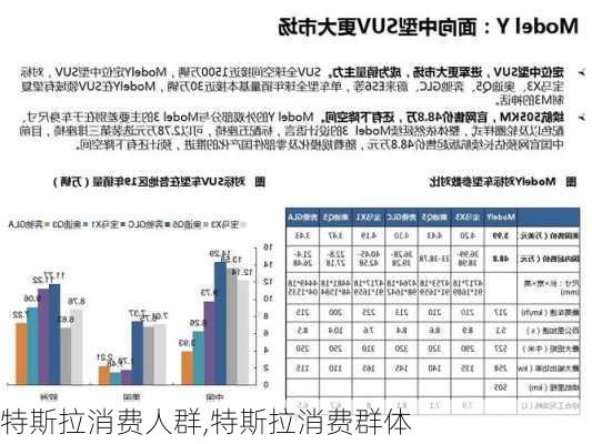 特斯拉消费人群,特斯拉消费群体