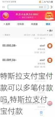 特斯拉支付宝付款可以多笔付款吗,特斯拉支付宝付款