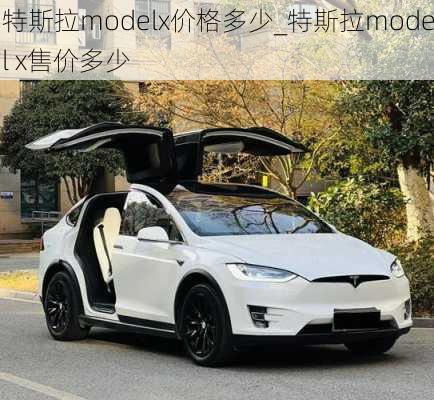 特斯拉modelx价格多少_特斯拉model x售价多少