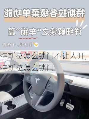 特斯拉怎么锁门不让人开,特斯拉怎么锁门