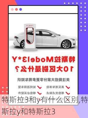 特斯拉3和y有什么区别,特斯拉y和特斯拉3