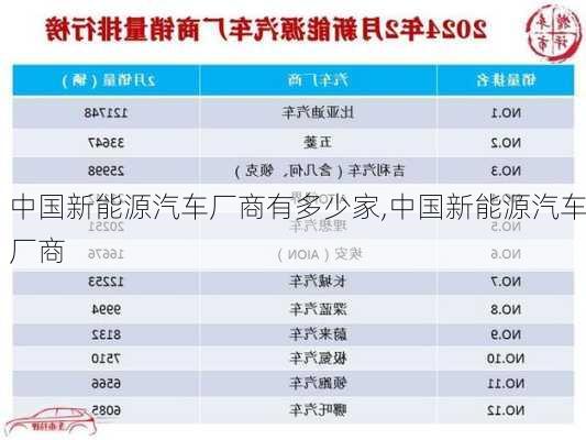 中国新能源汽车厂商有多少家,中国新能源汽车厂商