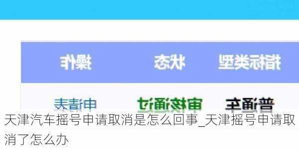 天津汽车摇号申请取消是怎么回事_天津摇号申请取消了怎么办