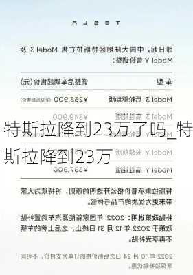 特斯拉降到23万了吗_特斯拉降到23万