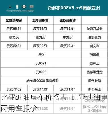 比亚迪油电车价格表_比亚迪油电两用车报价