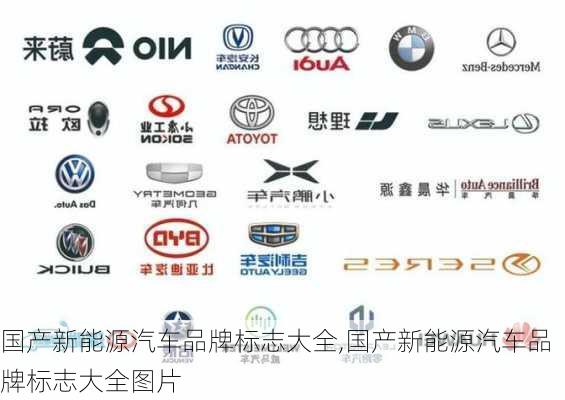 国产新能源汽车品牌标志大全,国产新能源汽车品牌标志大全图片