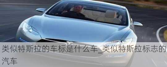 类似特斯拉的车标是什么车_类似特斯拉标志的汽车