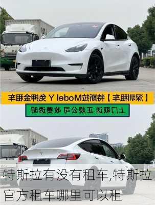 特斯拉有没有租车,特斯拉官方租车哪里可以租