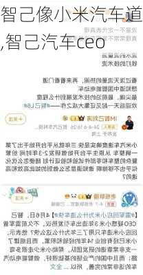 智己像小米汽车道歉,智己汽车ceo