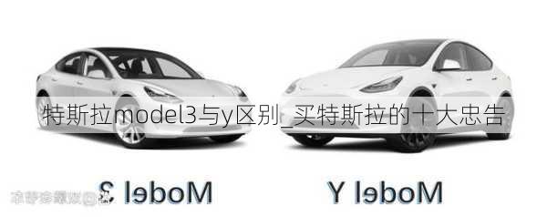 特斯拉model3与y区别_买特斯拉的十大忠告