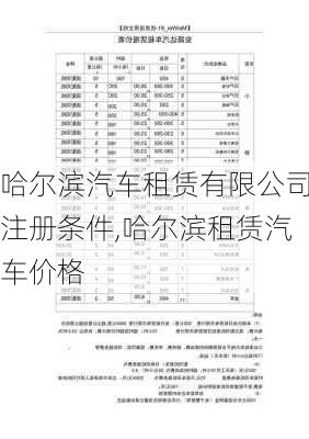 哈尔滨汽车租赁有限公司注册条件,哈尔滨租赁汽车价格