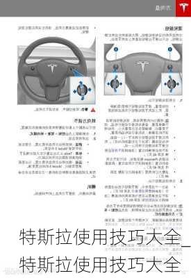 特斯拉使用技巧大全_特斯拉使用技巧大全