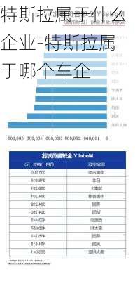 特斯拉属于什么企业-特斯拉属于哪个车企