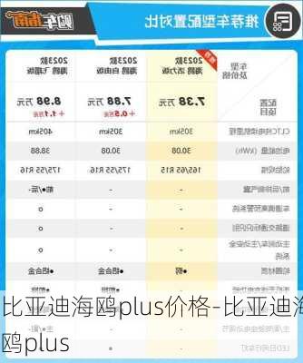 比亚迪海鸥plus价格-比亚迪海鸥plus