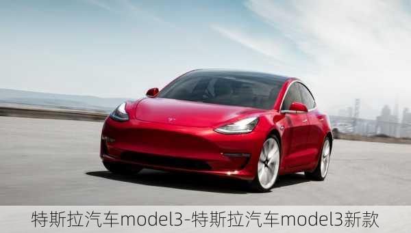 特斯拉汽车model3-特斯拉汽车model3新款