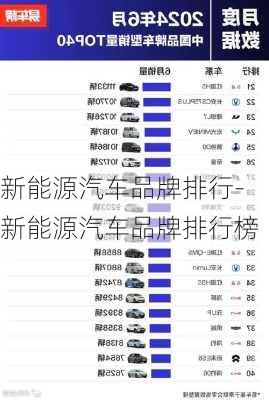 新能源汽车品牌排行-新能源汽车品牌排行榜