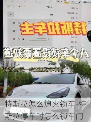 特斯拉怎么熄火锁车-特斯拉停车时怎么锁车门