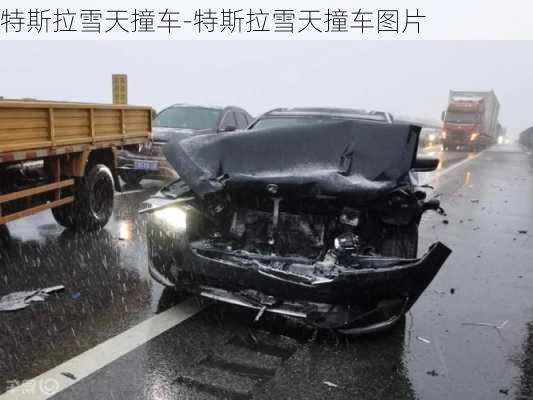 特斯拉雪天撞车-特斯拉雪天撞车图片