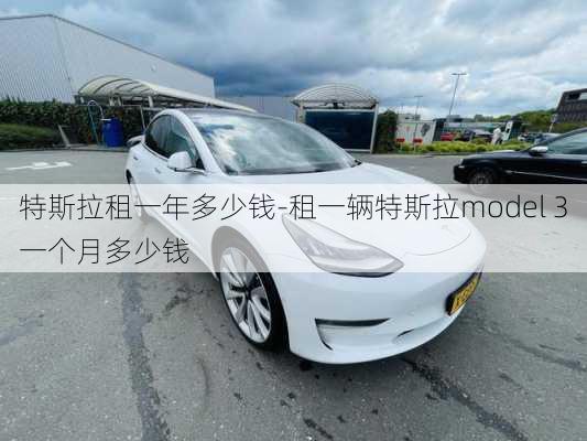 特斯拉租一年多少钱-租一辆特斯拉model 3一个月多少钱