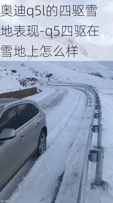 奥迪q5l的四驱雪地表现-q5四驱在雪地上怎么样