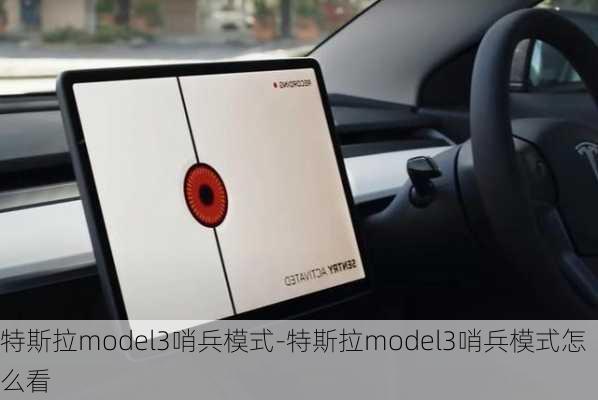 特斯拉model3哨兵模式-特斯拉model3哨兵模式怎么看