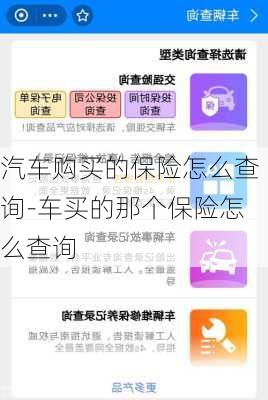 汽车购买的保险怎么查询-车买的那个保险怎么查询