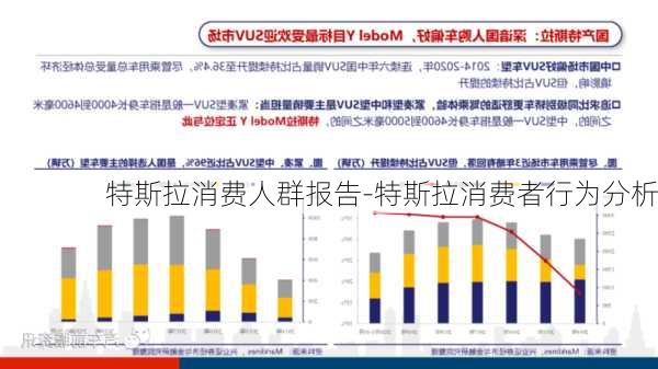 特斯拉消费人群报告-特斯拉消费者行为分析