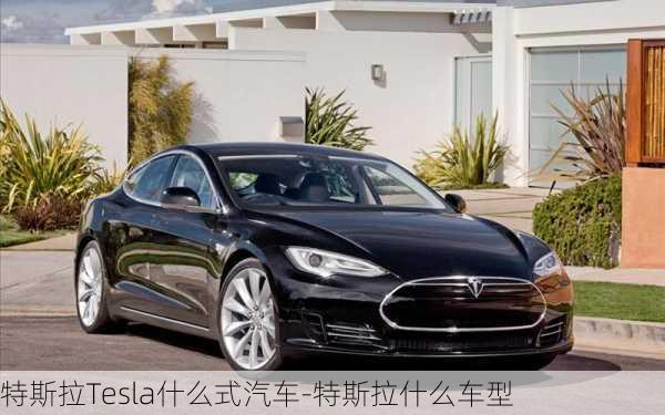 特斯拉Tesla什么式汽车-特斯拉什么车型