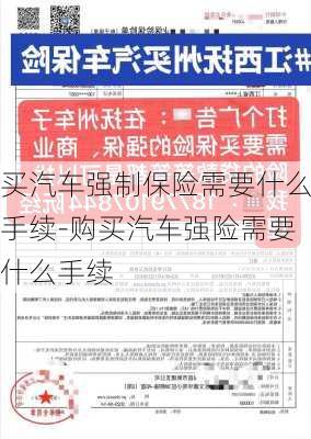 买汽车强制保险需要什么手续-购买汽车强险需要什么手续